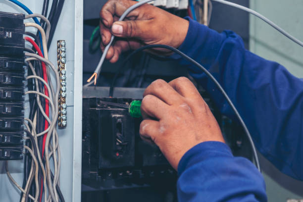 Best Electric Panel Repair  in Winnetka, IL